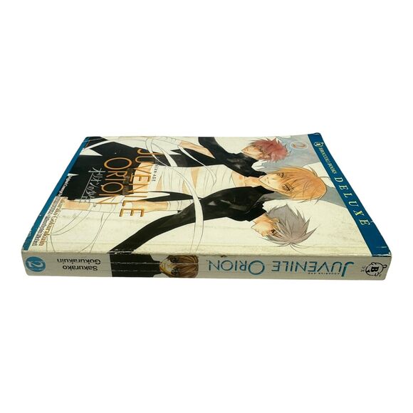 Aquarian Age Juvenile Orion Vol 2 by Sakurako Gokurakuin English Fantasy Manga - Picture 4 of 6